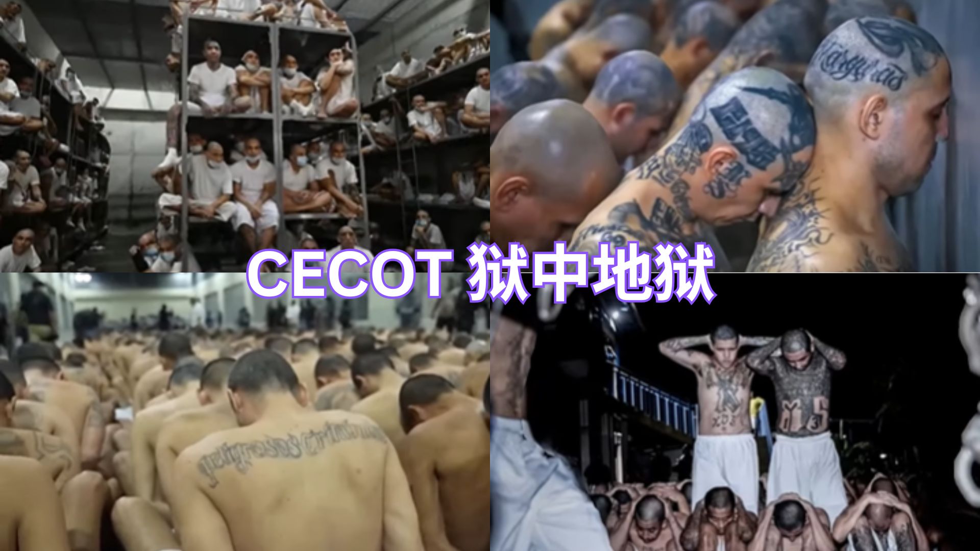 萨尔瓦多CECOT真相：全球最猛监狱，囚犯无路可逃！