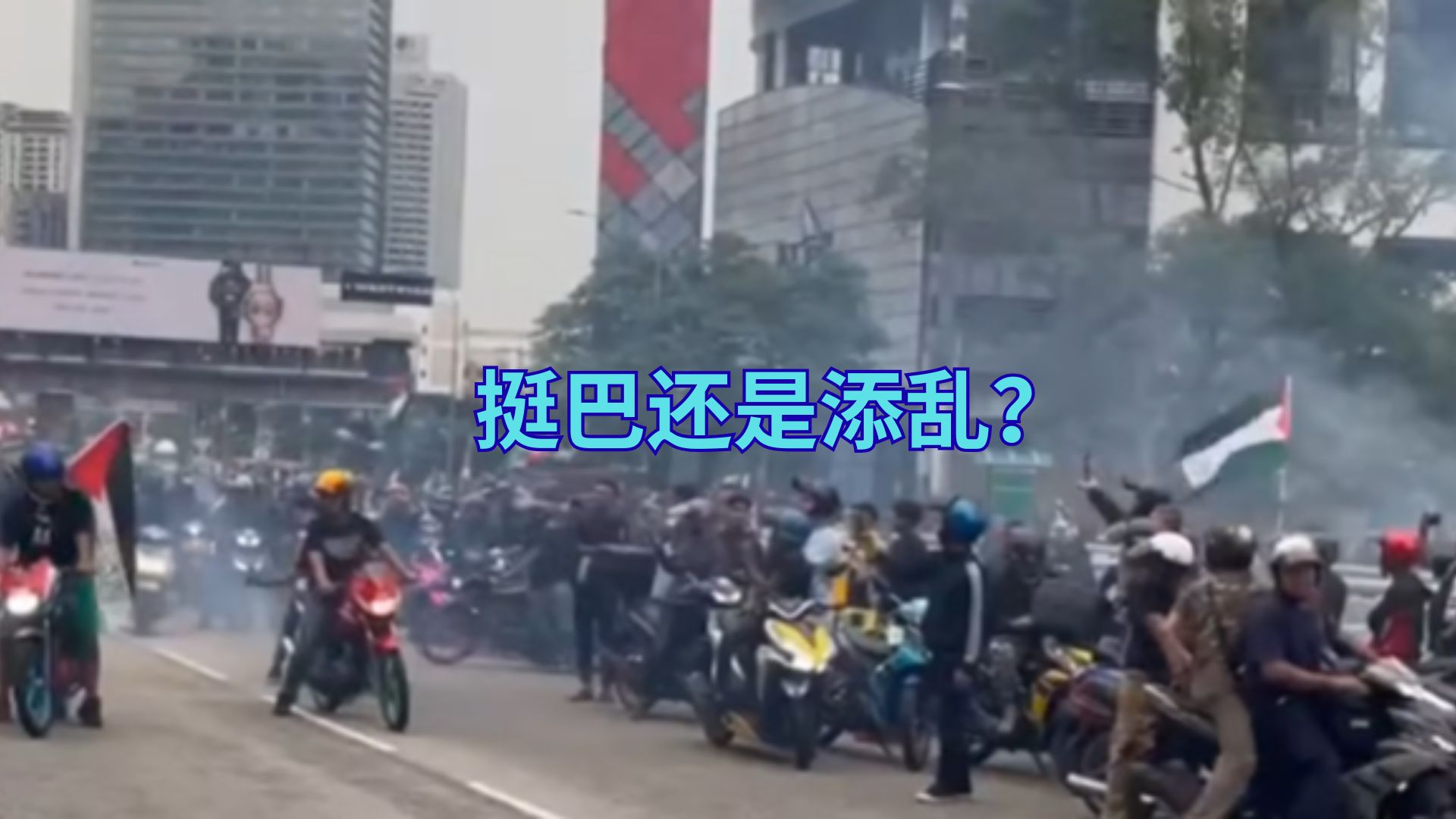 挺巴示威走偏了？和平呼声变成社会乱象！惹人厌到极点！