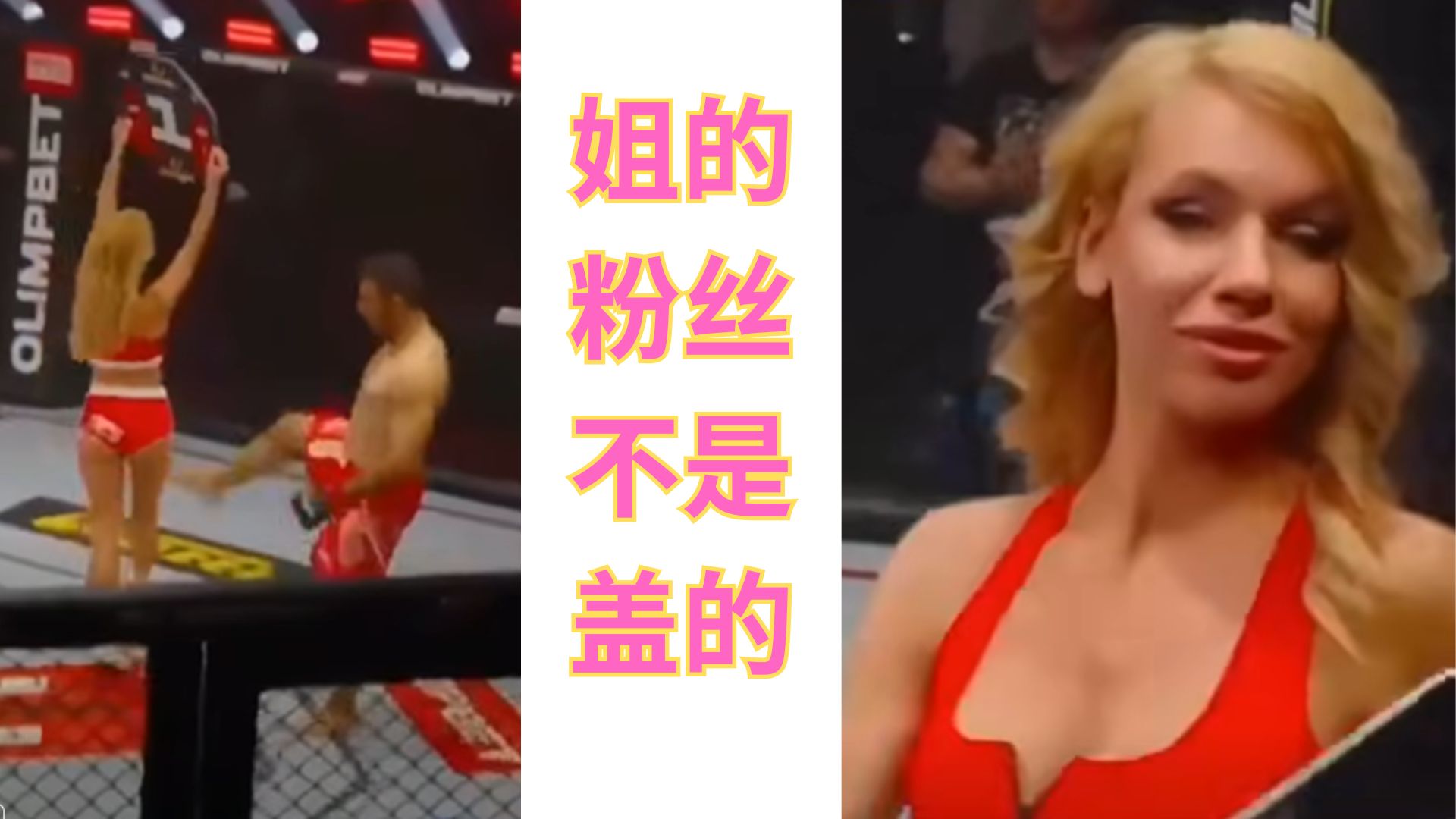 拳击手挑逗举牌女郎惹祸上身！观众冲上场教训！报应！